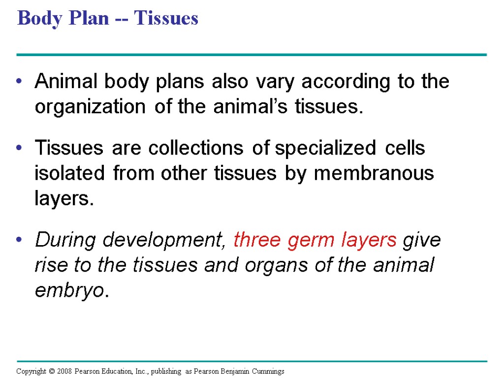 Body Plan -- Tissues Animal body plans also vary according to the organization of